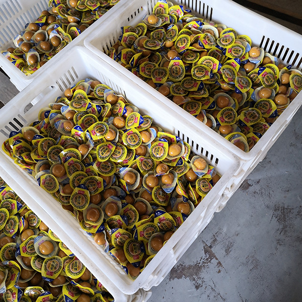 鵪鶉蛋拉伸膜真空包裝機整體沖效果圖